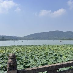 枇杷熟了coffee User Photo