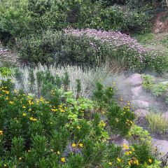 枇杷熟了coffee User Photo