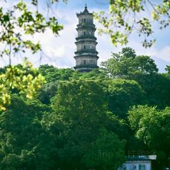 XING JI SUGAR CANE ICE User Photo