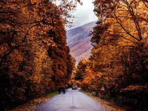 Popular Fall Viewing Attractions in Abruzzo