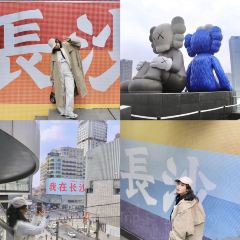 田小狗的饭店(碧桂园店) User Photo