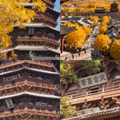 Mr chai Noodle User Photo