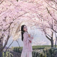 绍兴新昌安岚·听涛阁 User Photo