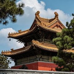 张记逍遥胡辣汤(大坑沿街店) User Photo