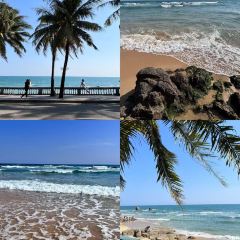 XIE HOU HAI XIAN CANTING User Photo