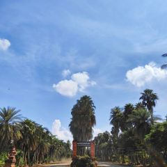 The Terracotta Garden At Lamphun User Photo