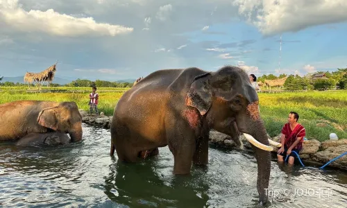 Baan Satian Elephant Park