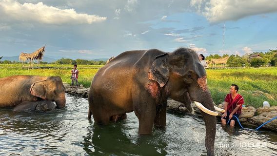 Baan Satian Elephant Park