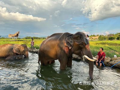 Baan Satian Elephant Park