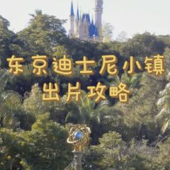 Rainforest Cafe User Photo