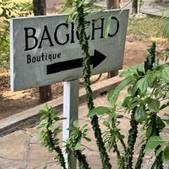 Woodberry Cafe User Photo