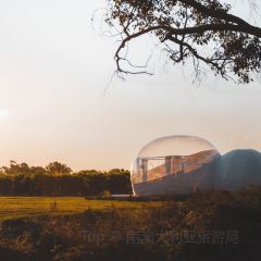The Tasting Room at Mayura Station User Photo