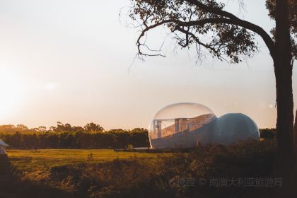 The Tasting Room at Mayura Station