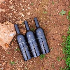 The Tasting Room at Mayura Station User Photo