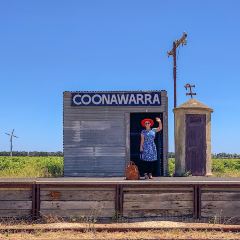 The Tasting Room at Mayura Station User Photo