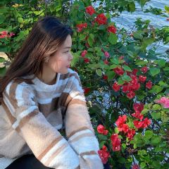 poker face coffee張用戶圖片