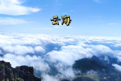 德庄火锅(东方街店)