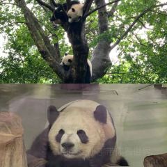 WANG JI TE SE GUO KUI User Photo