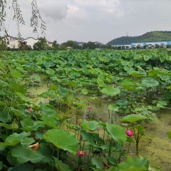 唐味斋·餐舍 User Photo