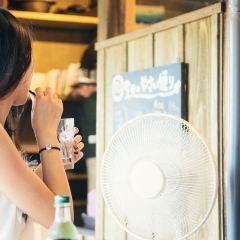 Shima Kitchen User Photo