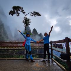 莽山天台山美食 User Photo