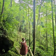 柒月麓山 여행 사진