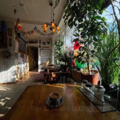 Cafe Babalu 여행 사진