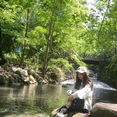 404Brunch&Bistro User Photo