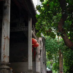 Grandma Liang's 20-Year-Old Traditional Braised Pork with Glutinous Rice User Photo