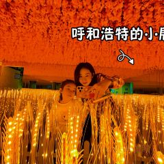 巨华国际大酒店·华宴中餐厅 User Photo