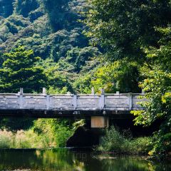 泉記燒鵝張用戶圖片