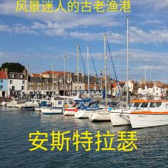 Anstruther Fish Bar張用戶圖片