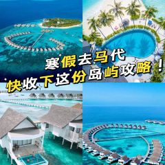 REEF張用戶圖片