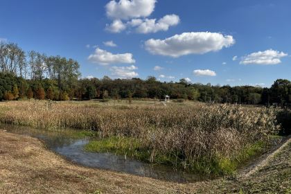 上湾水库生态园户外自助烧烤