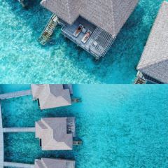 Sea Salt Restaurant User Photo