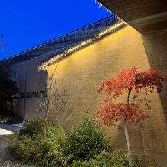 花築·富泉山居（沂蒙山旅遊區蒙山國家森林公園店）·富泉好食張用戶圖片