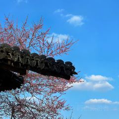 桃咖啡馆 User Photo