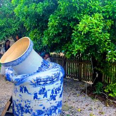 樊氏牛骨粉(湘湖店) User Photo