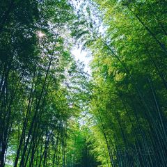 肖老三麻辣粉丝 User Photo