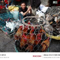 榕江大十字小吃 User Photo