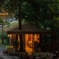 一山树屋咖啡营地 User Photo