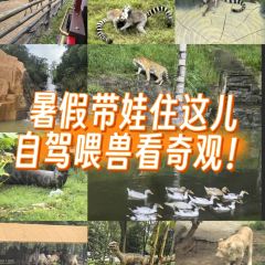 中南百草园小吃街 User Photo