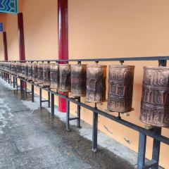 赛罕塔拉蒙餐 User Photo