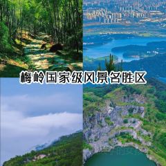 QI ZHI WEI LU ROU JUAN User Photo