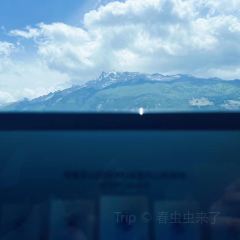 香格里拉云阶·格兰平帐篷营地·咖啡Glamping·cafe User Photo