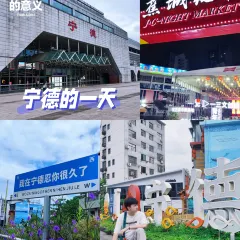 老字号老南门阿旺婆·养生烧仙草 User Photo