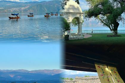 骆大姐手摊凉粉