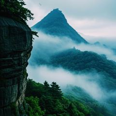 LUFUJIULOU User Photo