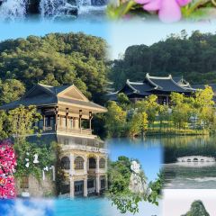 崖口煲仔饭 User Photo