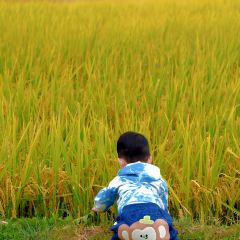 村边·合CAFE User Photo